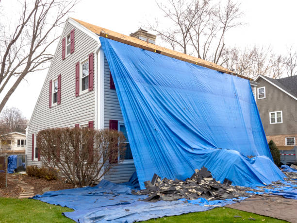 Best Fascia and Soffit Installation  in Live Oak, TX