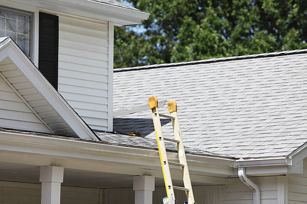 Best Brick Veneer Siding  in Live Oak, TX